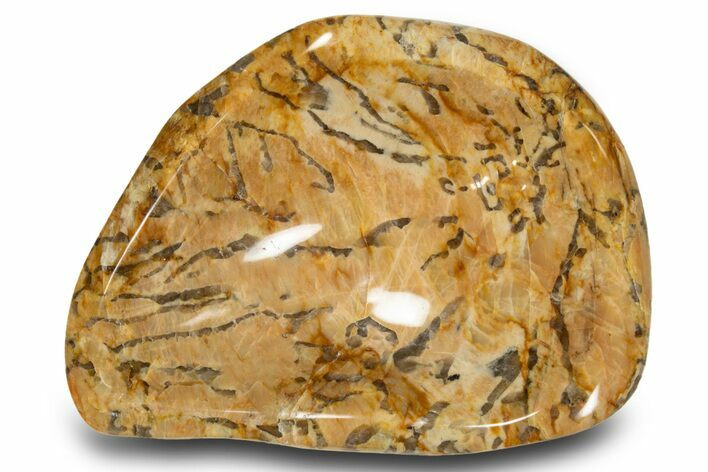 Polished Graphic Granite Bowl - Madagascar #302618